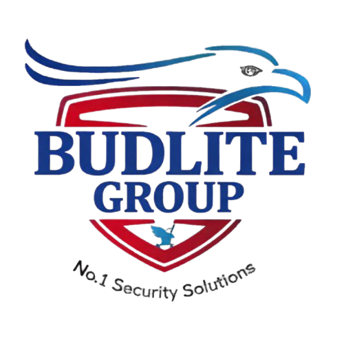 Budlite Logo